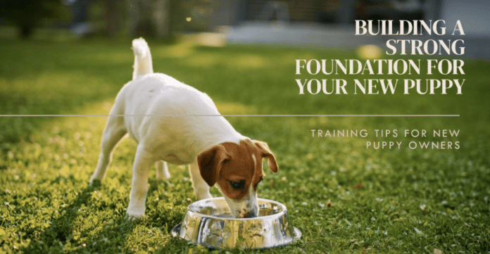 Training Tips for New Puppy Owners: Building a Strong Foundation for Obedience and Behavior